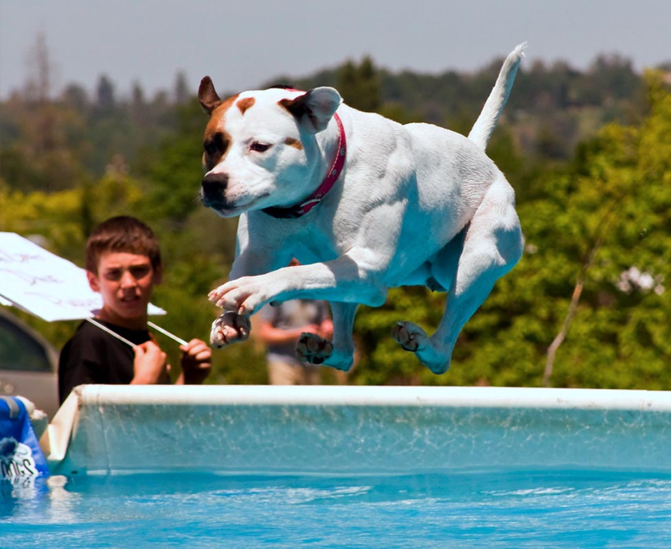 Pink jumping in Sunny California!