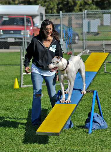 Pink on the teeter-totter