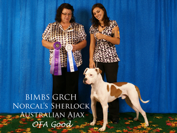 Ajax wins another Best of Breed
