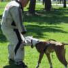 Teaching Malo to bite legs with Adrian Mendez.  Most of Malo's foundation work was upper body.