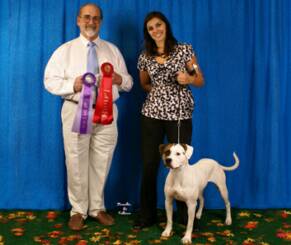 Pink winning Best of Breed under Judge Dennis Blickenstaff